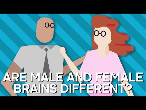 Are Male And Female BRAINS Different? | Earth Lab