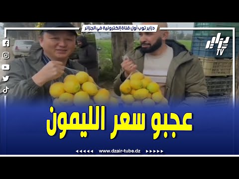 شاهد صيني يصنع الحدث بسبب سعر الليمون في الجزائر