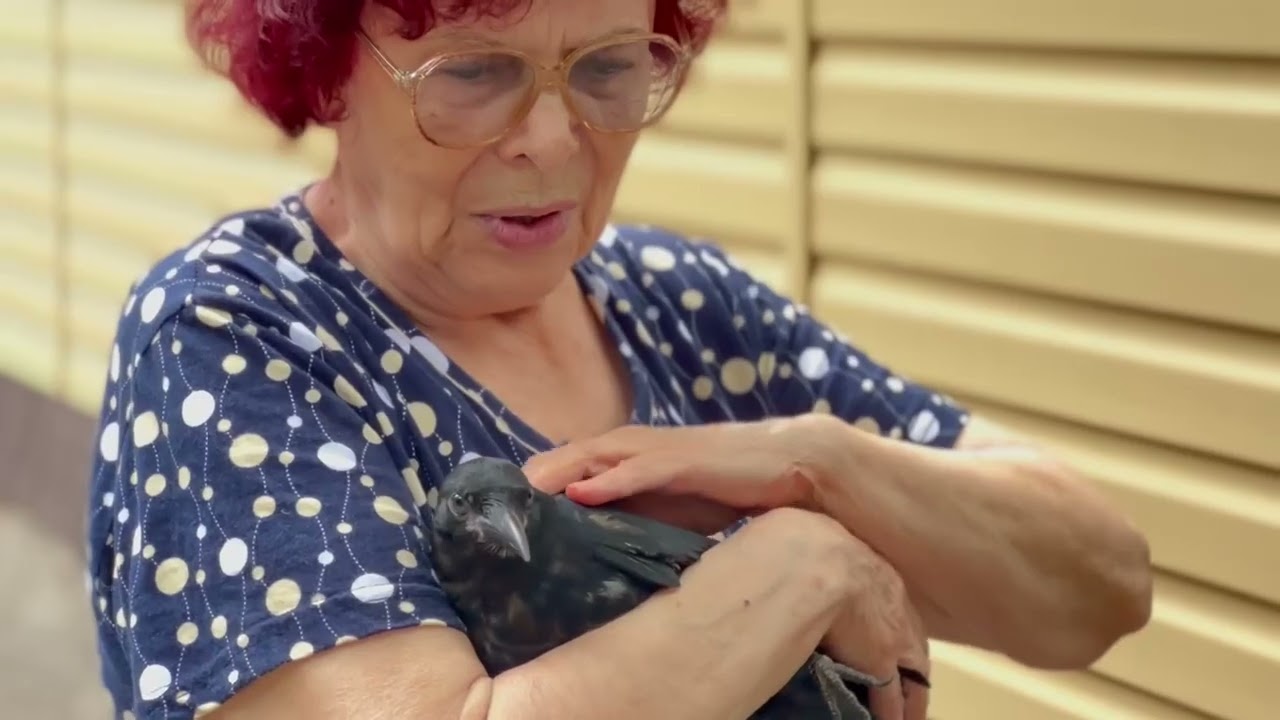 Каркуша с нашего двора