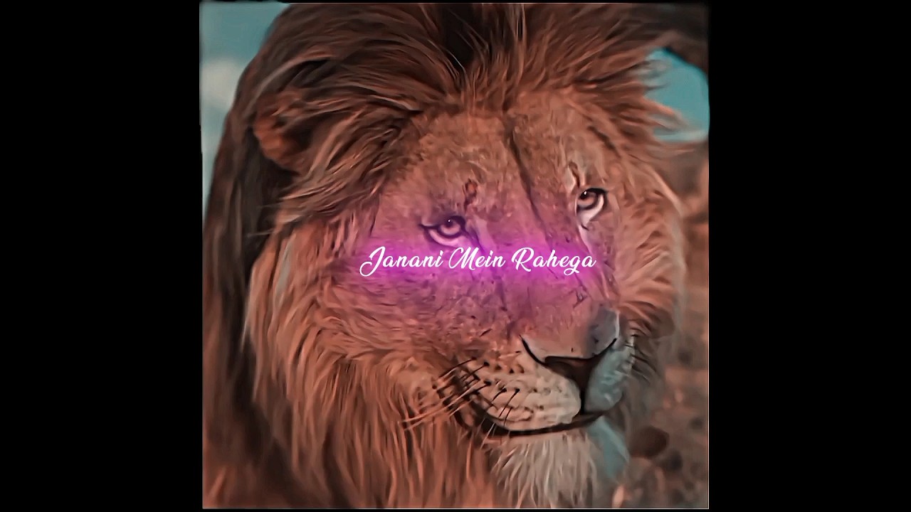 "Dhokha Aur Sharm | Mufasa Ki Garaj"#Mufasa #LionKing #Dhokha #Respect #EmotionalScene