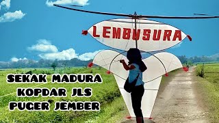 Layangan Sekak Madura PUGER JEMBER #layangan #sawangan 