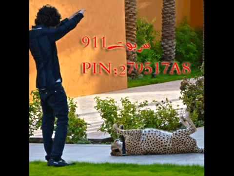 فدا ياعيوني مسرع  تصميم سربوت اليامي
