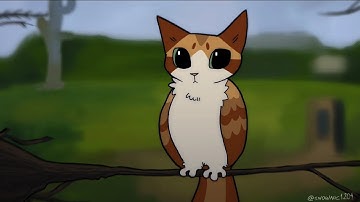meowl 