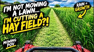 I’m Not Mowing a Lawn… I’m Cutting a Hay Field?! 🌾 | Mowing POV