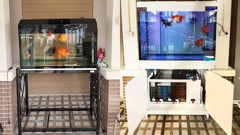 Ake บางใหญ่ - สลับที่ตู้ปลาทอง เก่า 36 16 18 ออกแทนที่ด้วย 48 24 36 กรองล่าง 36 + O4FS จบลงปลา Set 4