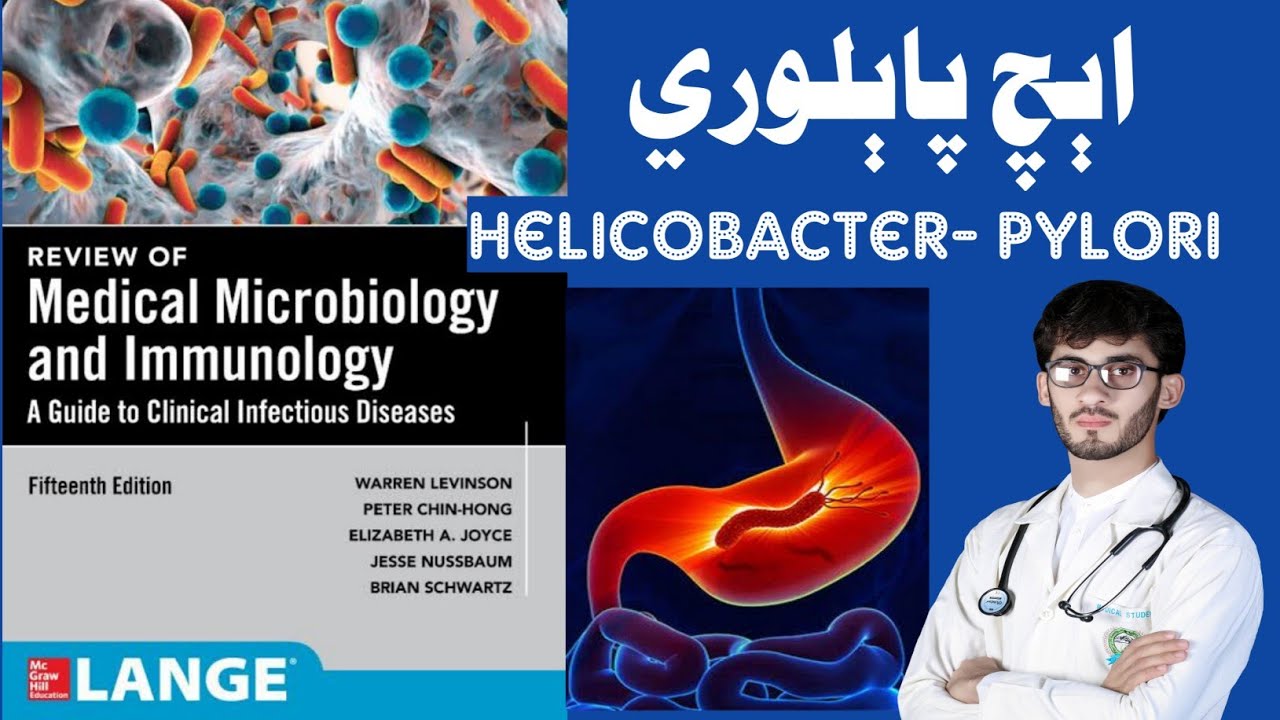 H-Pylori in Pashto | Microbiology | Dr Kefayatullah Amani | اېچ پاېلوري | مايکرو بيولوژي