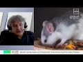 Хантавирус на круизном судне: откуда могла взяться “мышиная лихорадка” — Москва 24