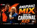 AMAPIANO VIDEO MIX 2026 05 JUNE CARDINAL X25 BEST OF CARDINAL X25 HITS 