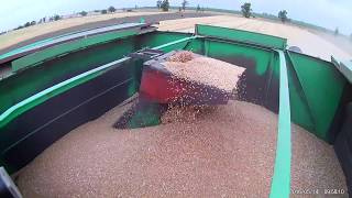 Уборка пшеницы ДОН 1500Б (урожайность 65 ц/га)Херсонская обл