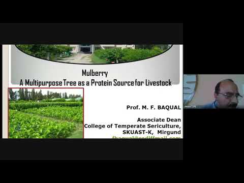Video: The Complete Chemical Composition Of Mulberry