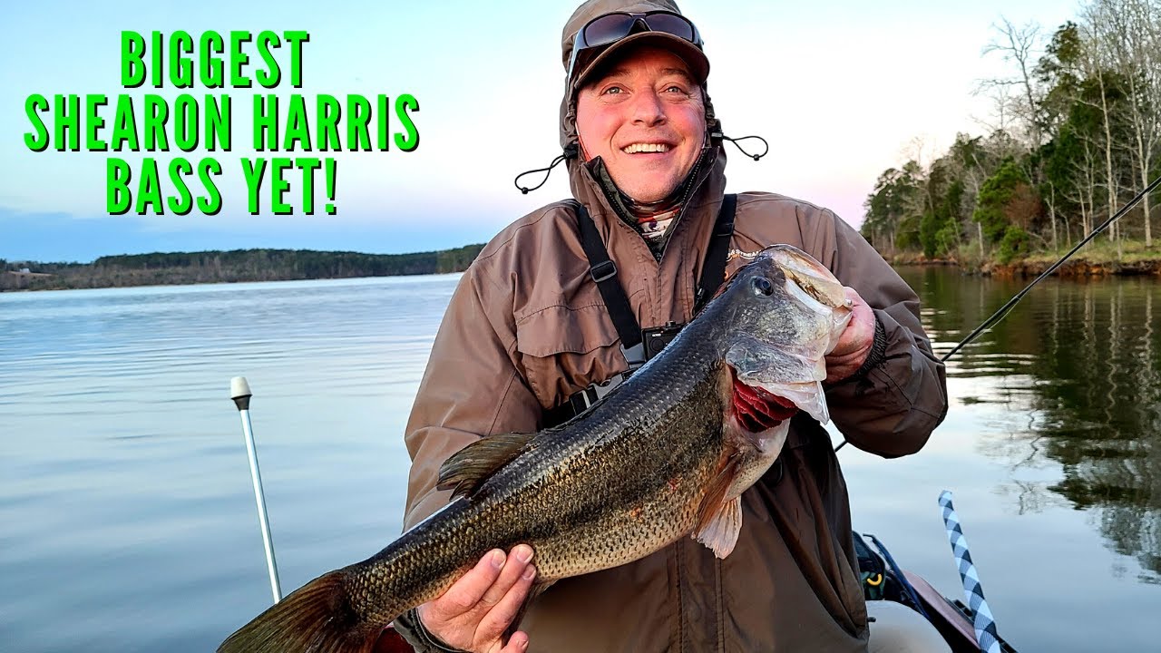 This is the BIGGEST SHEARON HARRIS BASS we've caught yet! 