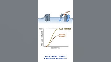 Clinical Cuts: Pharmacodynamics - Agonist, partial agonist, antagonist