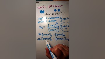 Protein dimer equilibrium
