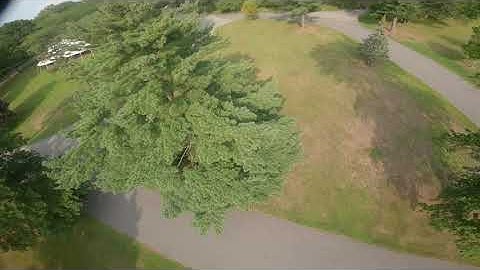 Long time no see - TBS Source one 6S Freestyle