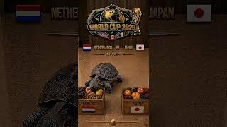 🐢 Netherlands 🇳🇱 vs Japan 🇯🇵 | Turtle Predicts the Winner! | World Cup 2026 Prediction