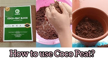 How to expand cocopeat block | Easy potting mix for plants using coco peat #cocopeat #pottingmix