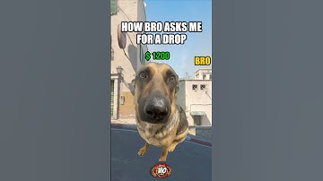 How Bro asks for a drop! 🥺 #cs2