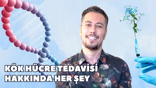 Kök Hücre Tedavisi Hakkında Her Şey