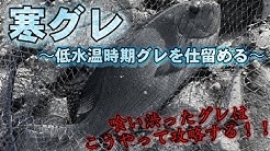 シマモッチ Tsuritube Youtube