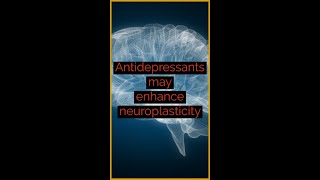 Antidepressants may enhance neuroplasticity