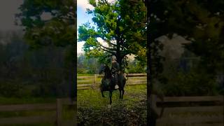 🐎 #caballos #amoaloscaballos #rdr2 #reddeadredemption2 #vaqueros