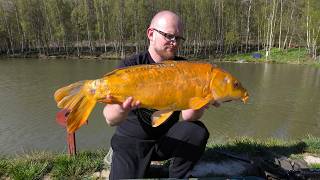Method Feeder po pracy na łowisku HACZYK