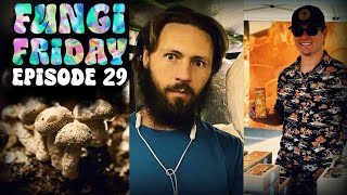 Fungi Friday #29 The future of AI in mushroom cultivation and reflecting on mushroom cult classes