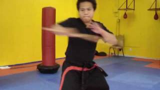 Johnathan Routis Demonstrating Doce Pares Tapi-Tapi, an Integral Part of Arnis, Eskrima, & Kali.