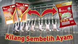 Rumah Sembelihan Ayam Segar Delima Emas, Bersih & HALAL