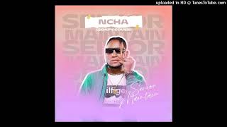 Senior Maintain - NCHA (Soapy Cover) (Official Audio)