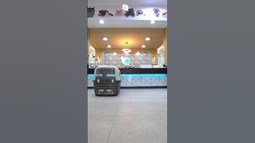 Looking for a travel cage? We have pet crates in all different sizes for your small and large pets