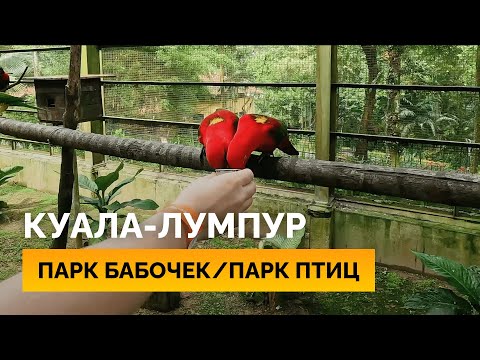 Видео: Что делать в ботаническом саду Пердана в Куала-Лумпуре