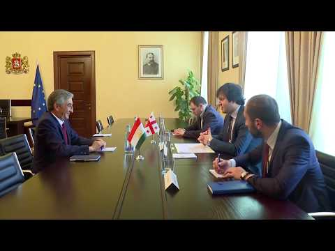 ირაკლი კობახიძის შეხვედრა  ტაჯიკეთის ელჩთან