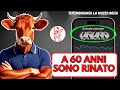 La Mucca Rossa TESTIMONIANZA LIVE: "A 60 Anni ho MONETIZZATO il CANALE YOUTUBE in 7 GIORNI!"