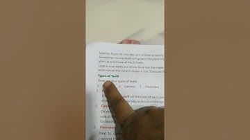 Class 4th science chapter 6 Our Teeth and Microbes