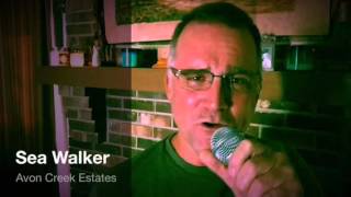 Sea Walker chords