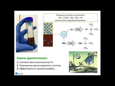 Курс Interlab "Хроматография: газовая хроматография. Ввод пробы." Лекция 6