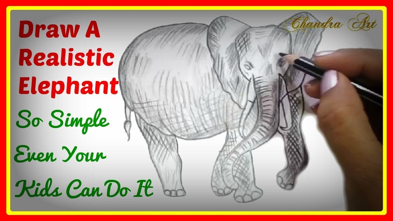 Simple Pencil drawing images: How To Draw A Realistic Elephant Step By ...