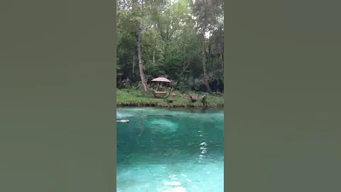 Man dives in to meet a real mermaid