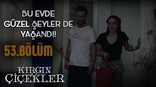 Kırgın Çiçekler 53.Bölüm - Toprak'ın Feride'ye desteği!