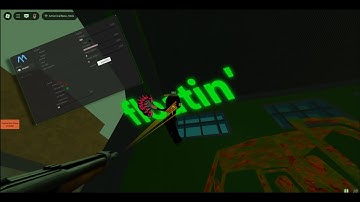 Pov you have the best silent aim fast flags 💚💚🟢