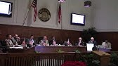 
      10. Council Comments
    