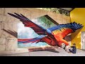 Street Artist Paints a Jaw-Dropping 3D Wall Mural of a Parrot || Best Viral Videos