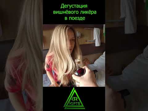 Дегустация вишнёвого ликёра в купе поезда #shorts #путешествие #поездка #поезд #юртв #дорога