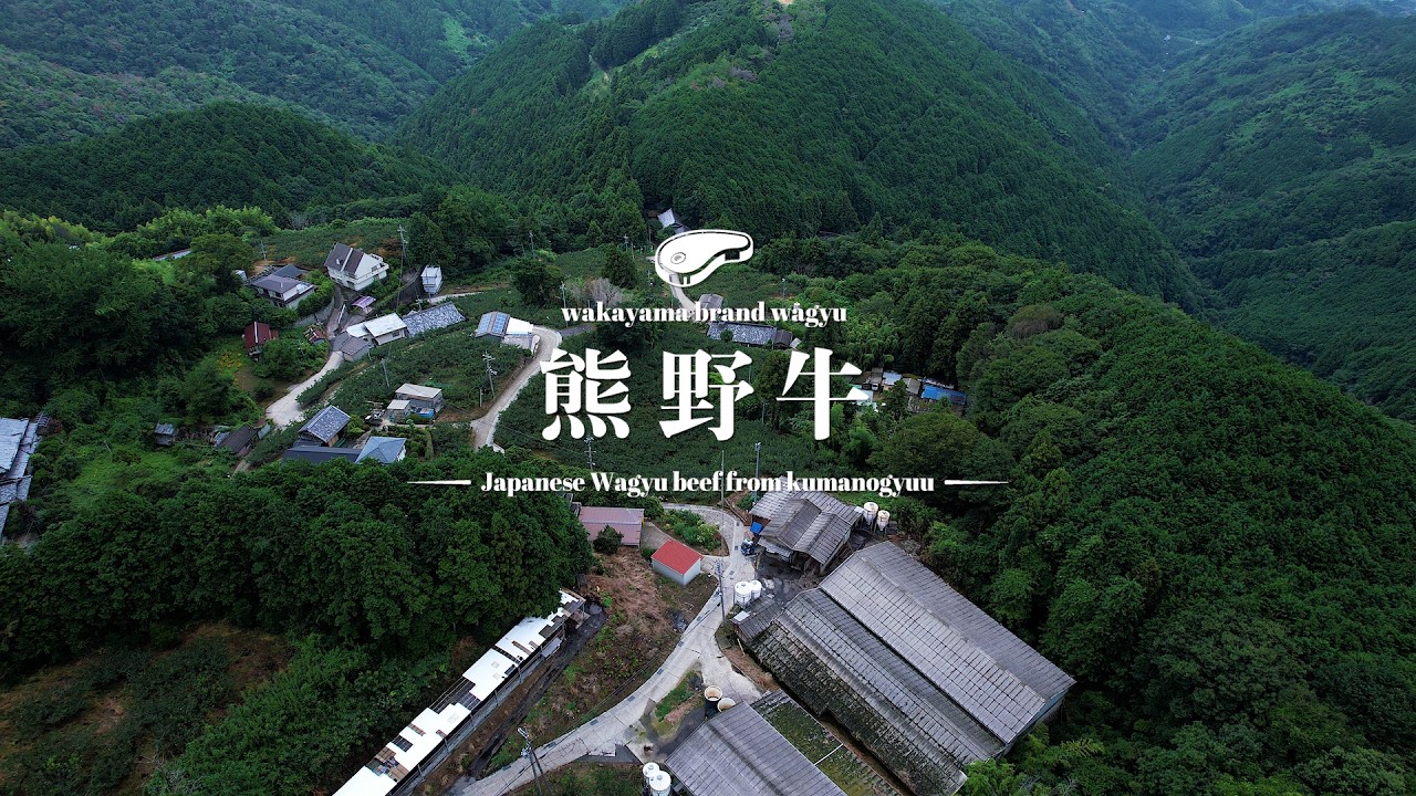 和歌山県産ブランド和牛～熊野牛（英語字幕あり）編～ - YouTube