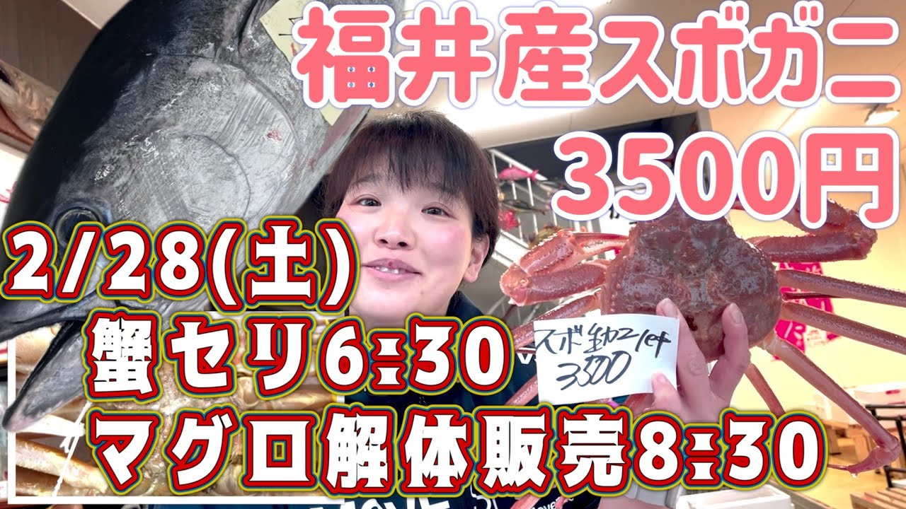 『2/28(土)は盛り沢山！蟹セリ6:30、鮪解体8:30、乞うご期待！』#激安  #魚屋　#相木魚問屋 #敦賀   8/2/27