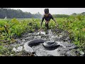 Big Hand Fishing.  Village Boy Catch Big Monster Catfish By Remove Water Hyacinth In River.