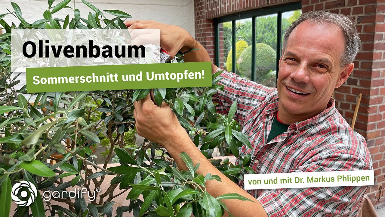welcher dünger für magnolienbaum Purgrün Magnoliendünger 1 Liter main image 1