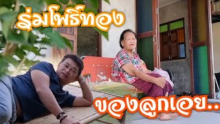 ร่มเงาจากบ้านแม่#บ้านสวนกำภูEp308