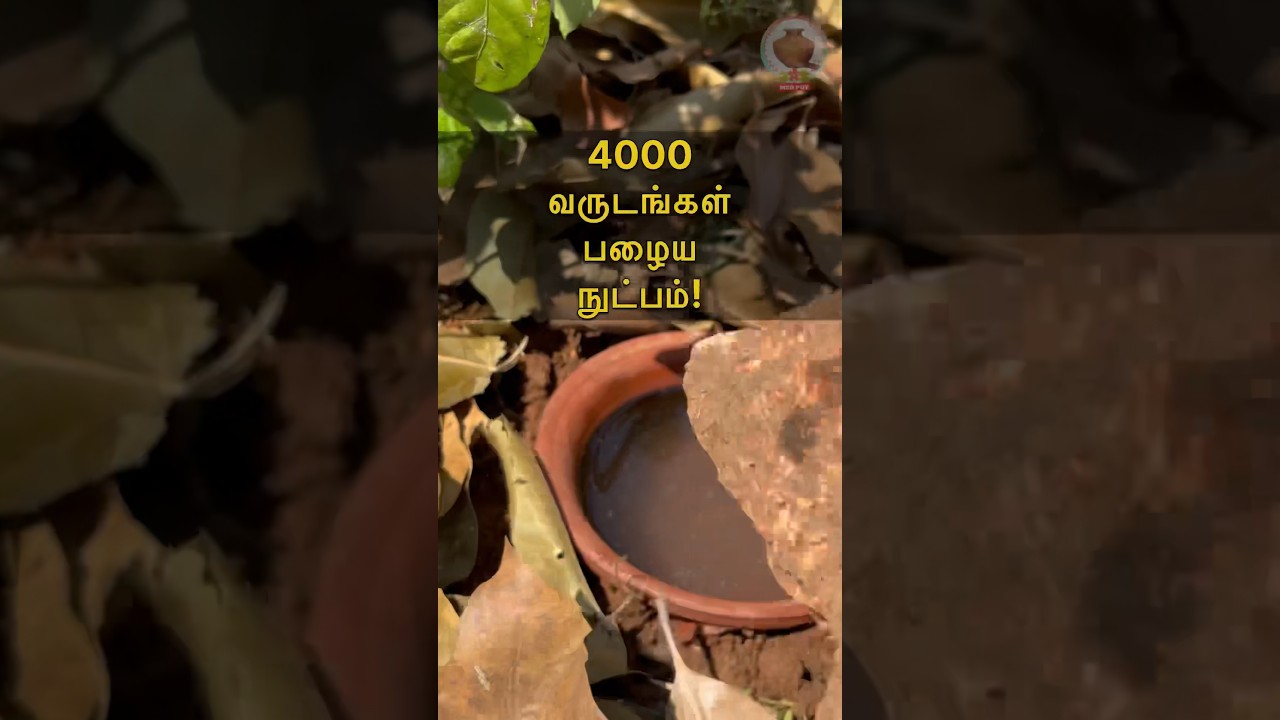 4000 வருடங்களுக்கு முன் கண்டுபிடிக்கப்பட்ட பானைமுறை நீர்பாசனம், Clay Pot Irrigation | MudPot Channel